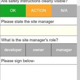 Health & Safety checklist preview